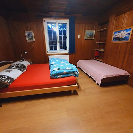 Traditional Swiss-Flat Interlaken Ngoại thất bức ảnh