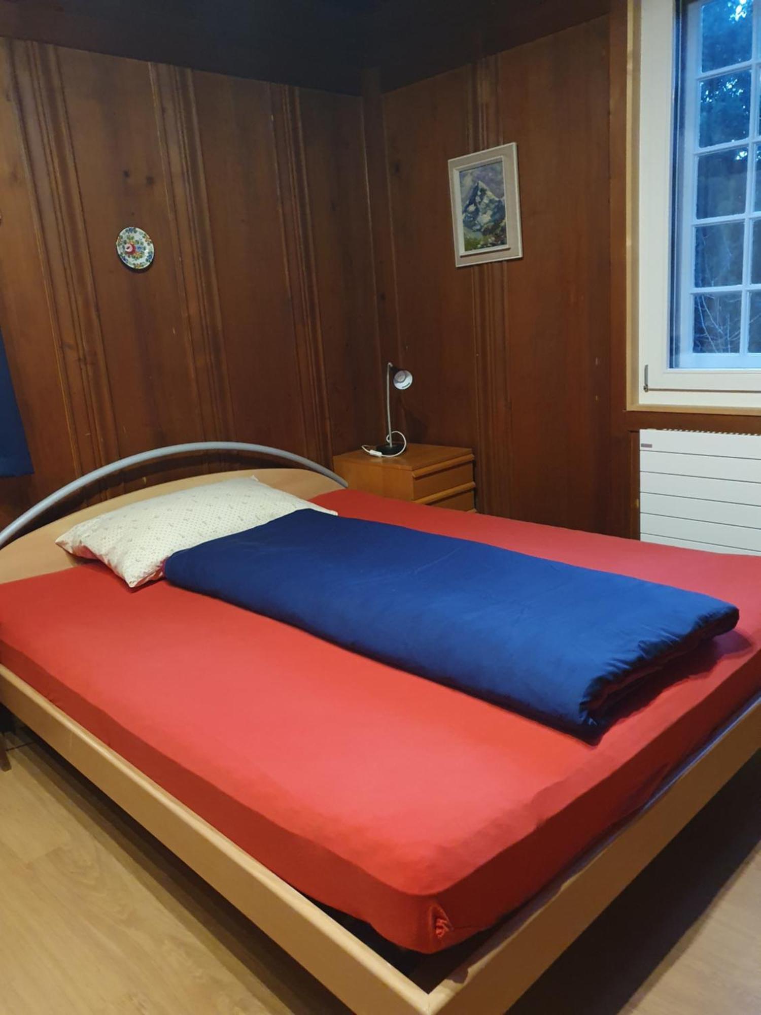 Traditional Swiss-Flat Interlaken Ngoại thất bức ảnh